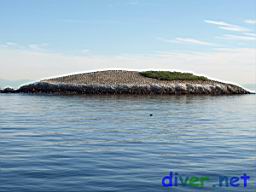 Bird Rock with many Phalacrocorax penicillatus  (Brandt's Cormorants) and Zalophus californianus (California Sea Lions)
