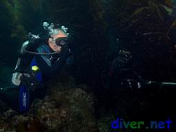 SCUBA Divers