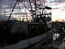 purse seiner next to the Peace at sunset in Ventrua Harbor