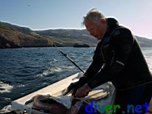 David Vilhauer cleans his halibut