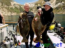 David Vilhauer & Sea Son John Higgins with a 30 lb. halibut
