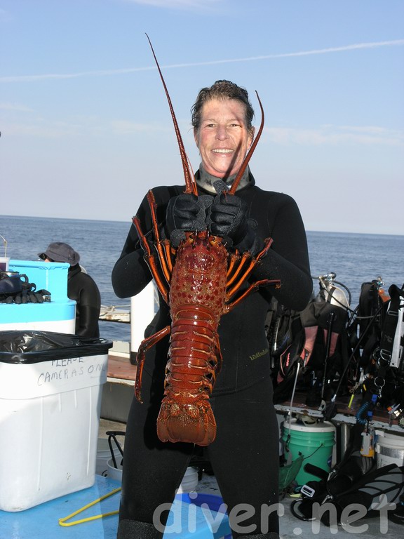 Sally Pinkham with a 7 lb. bug just before releasing it