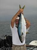 Larry and his Yellowtail