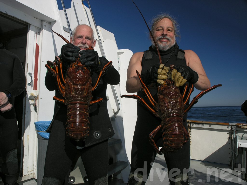 Jerry Wilson and Chris Grossman with big bugs