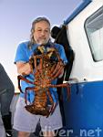 Chris Grossman with a 10½ lb. California Spiny Lobster (Panulirus interruptus)