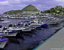 Cabo San Lucas Harbor