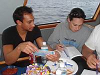 February 13, 2005 on the Sundiver with Ocean Adventures : by Elaine Jobin