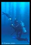 Sea Divers trip to Santa Barbara Island aboard the Great Escape : by Elaine Jobin