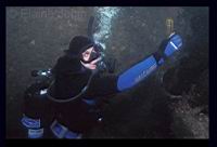 SCUBA diving at Catalina Island aboard the Pacific Star with Hollywood Divers : by Elaine Jobin